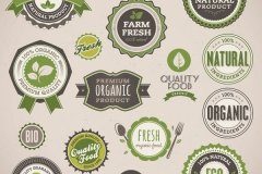 custom-shape-labels-102